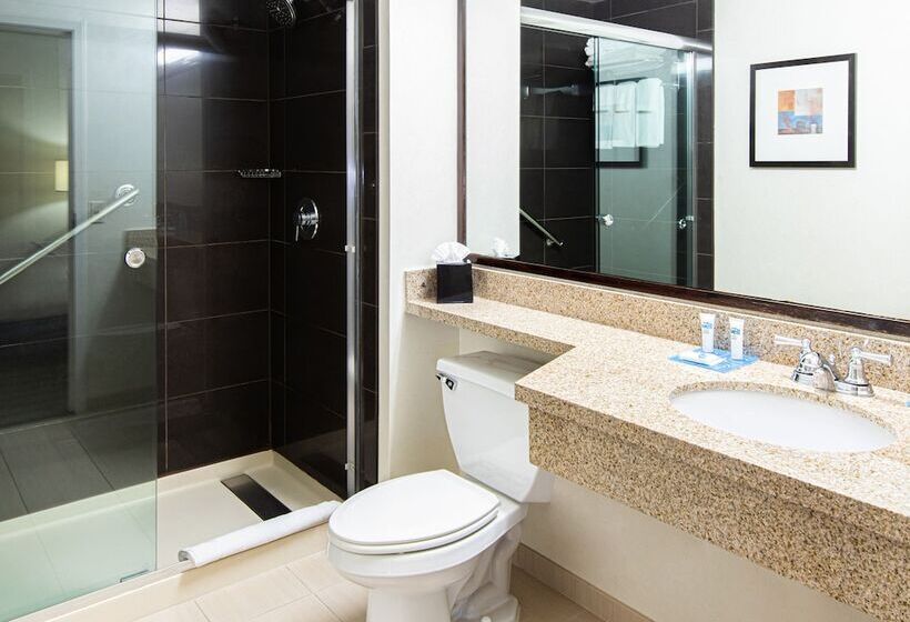 스위트, Hyatt House Chicago Schaumburg