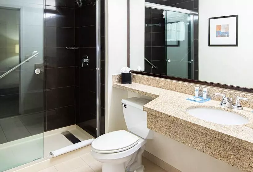 スイート, Hyatt House Chicago Schaumburg