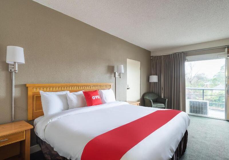 带大床的标准间, OYO Sumter SC Downtown