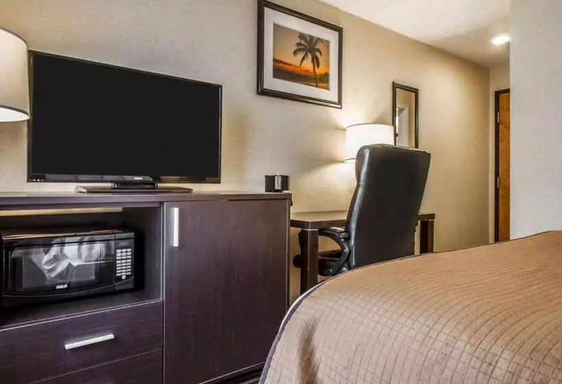 スタンダードルーム, Quality Inn & Suites