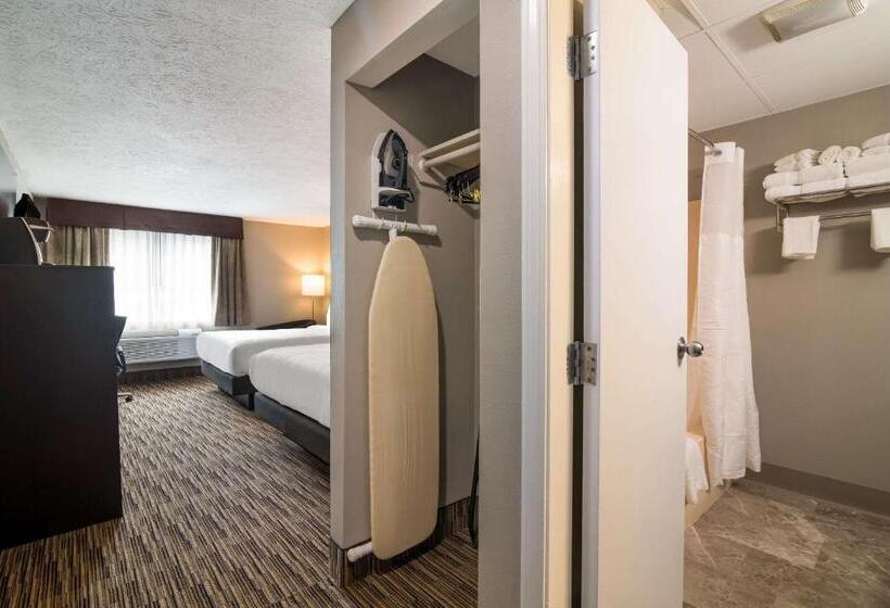 스탠다드 룸, Quality Inn & Suites