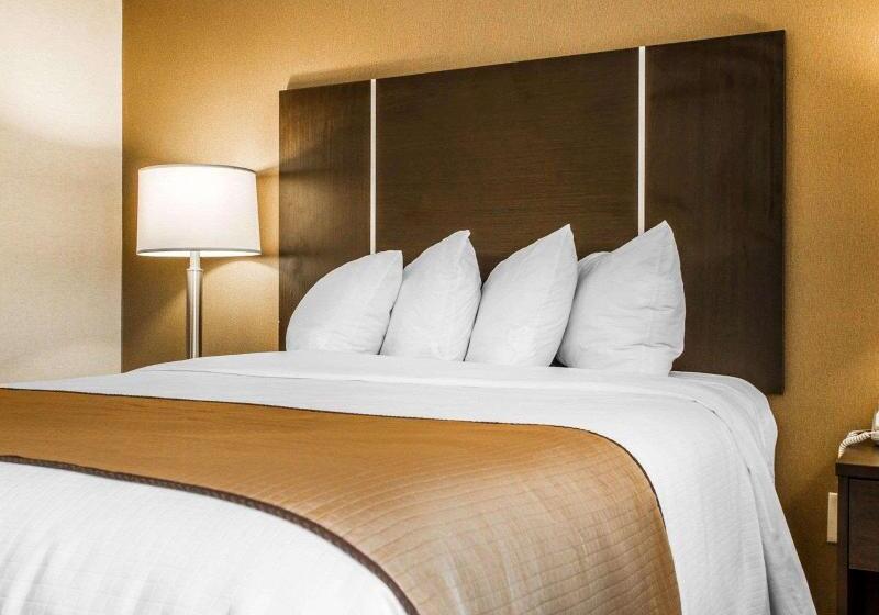 장애인을 위한 킹사이즈 침대 스탠다드 룸, Quality Inn & Suites