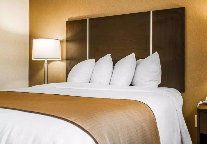 身障者適用キングサイズベッドルーム, Quality Inn & Suites