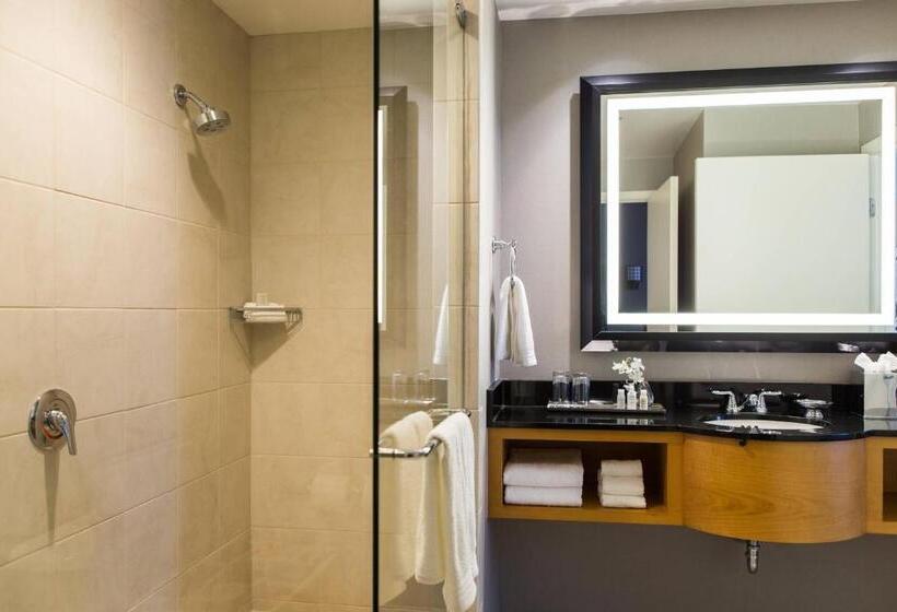 Suite King Size Seng, Renaissance Chicago O Hare Suites