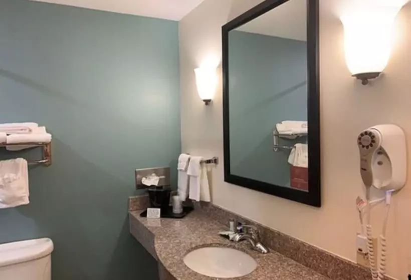 スイート, Spark By Hilton Montgomery Eastchase