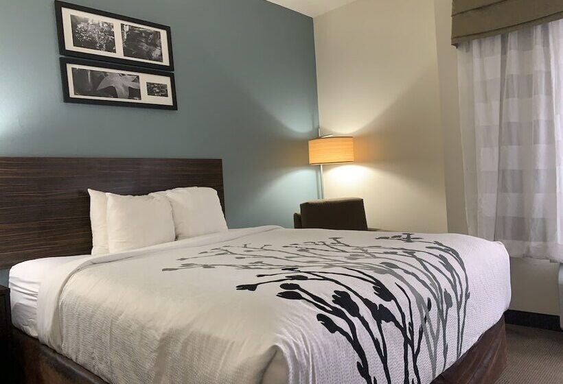 Люкс, Spark By Hilton Montgomery Eastchase