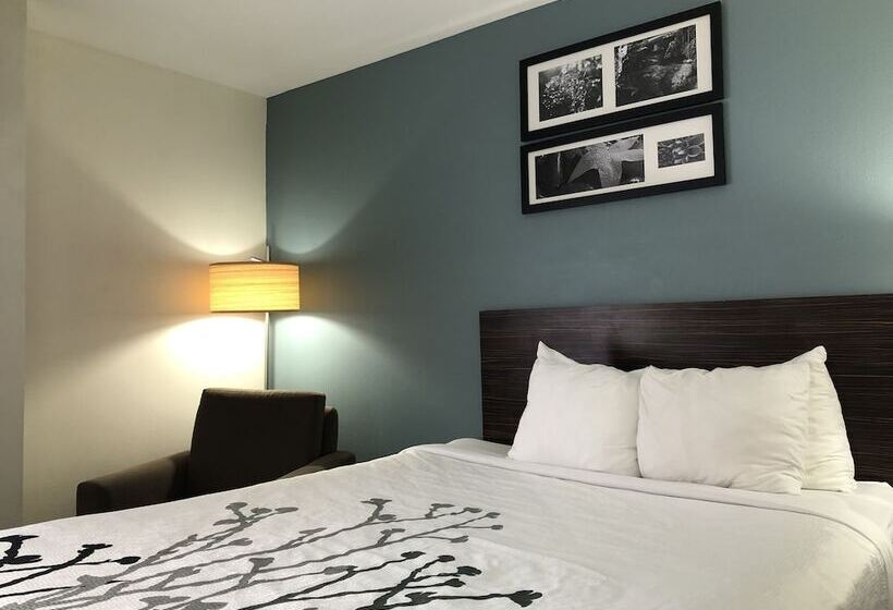 Люкс, Spark By Hilton Montgomery Eastchase