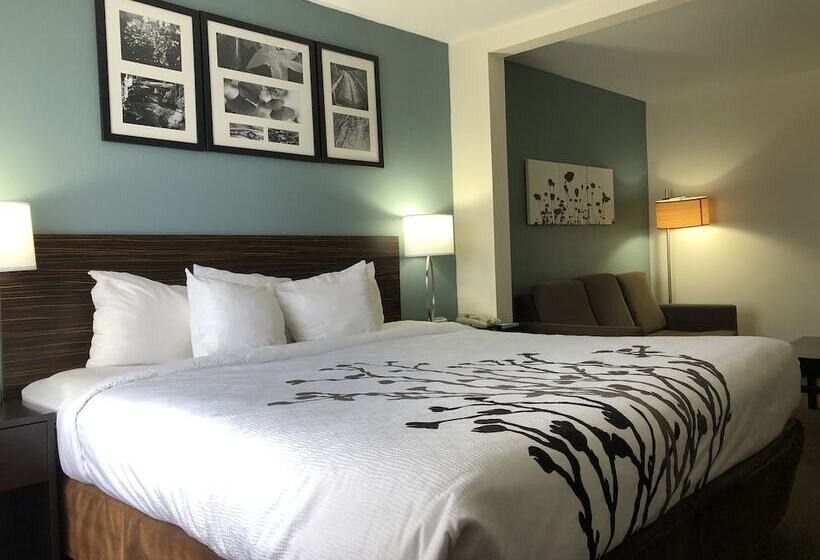 Люкс, Spark By Hilton Montgomery Eastchase