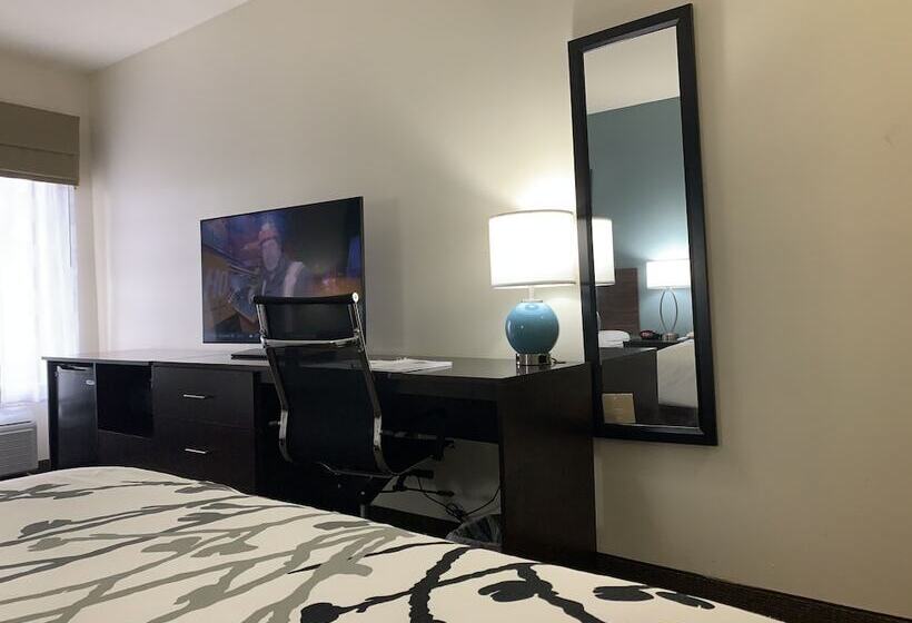 Люкс, Spark By Hilton Montgomery Eastchase