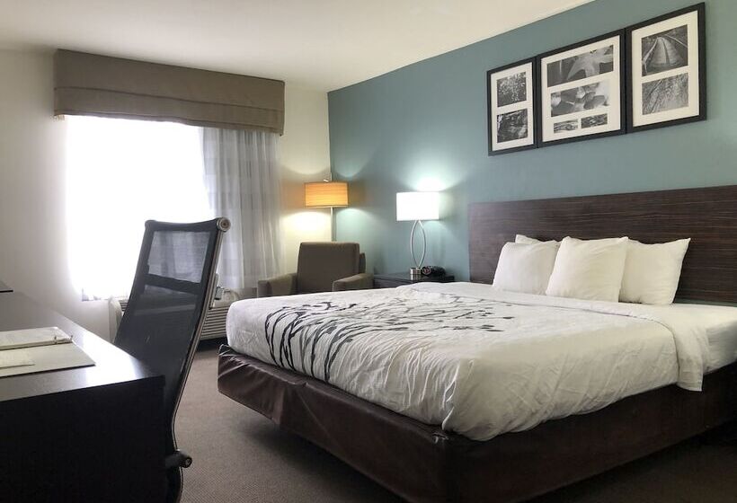 Люкс, Spark By Hilton Montgomery Eastchase