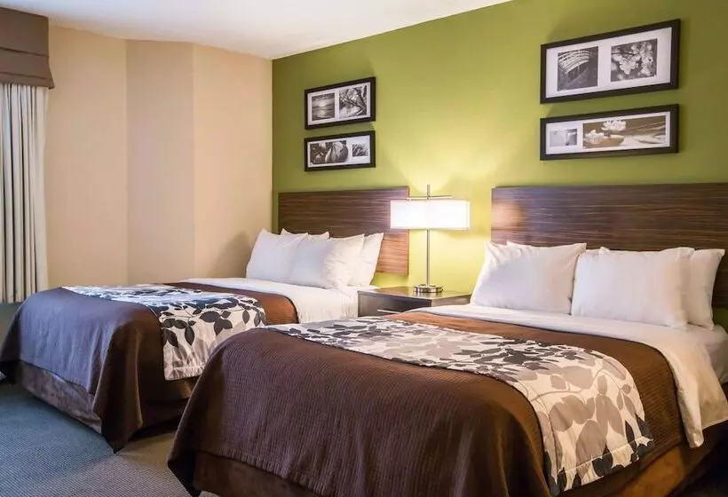 ２ダブルベッドのスタンダードルーム, Sleep Inn Douglasville