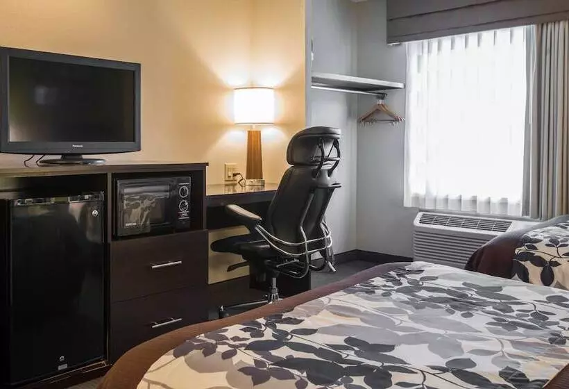 ２ダブルベッドのスタンダードルーム, Sleep Inn Douglasville