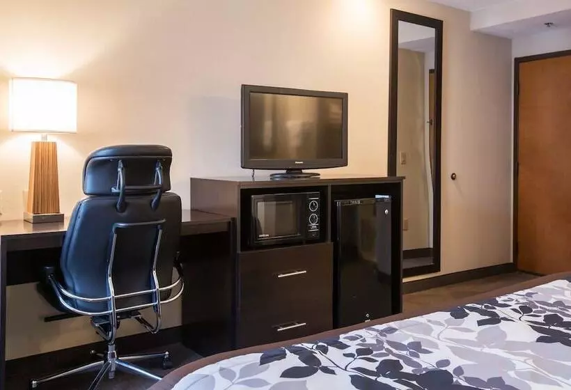 ２ダブルベッドのスタンダードルーム, Sleep Inn Douglasville