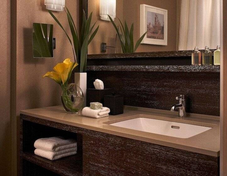 اتاق دلوکس مخصوص معلولین, The Royal Sonesta Chicago River North