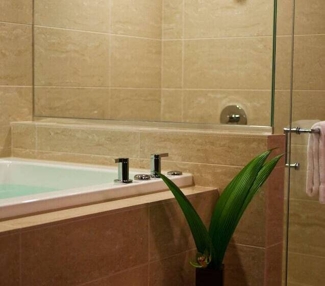 سوییت لوکس, The Royal Sonesta Chicago River North