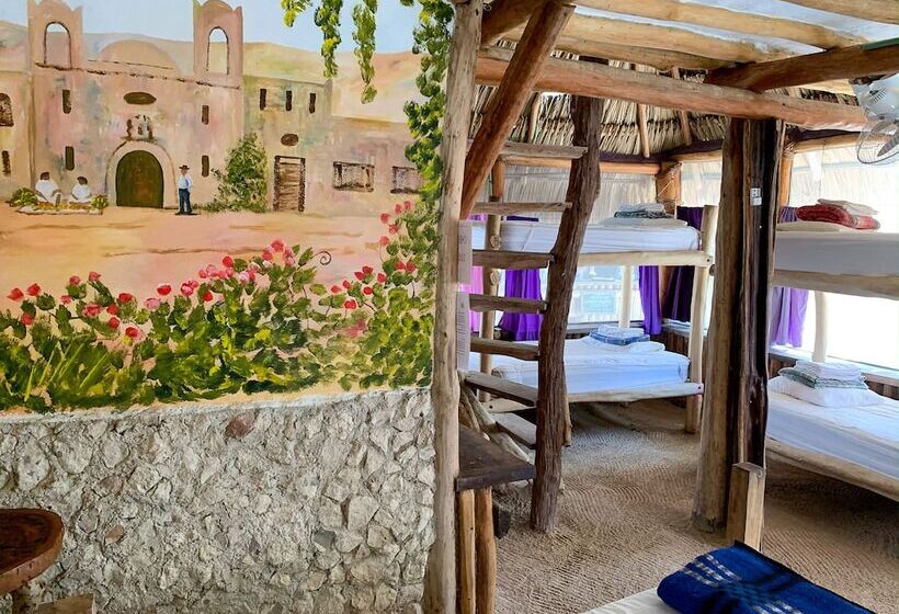 スタンダードルーム, Cabañas Ida Y Vuelta