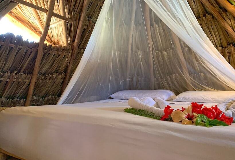 スタンダードルーム, Cabañas Ida Y Vuelta