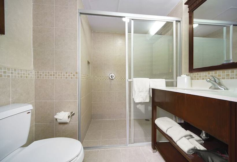 اتاق استاندارد, Hampton Inn & Suites Mexico City Centro Historico