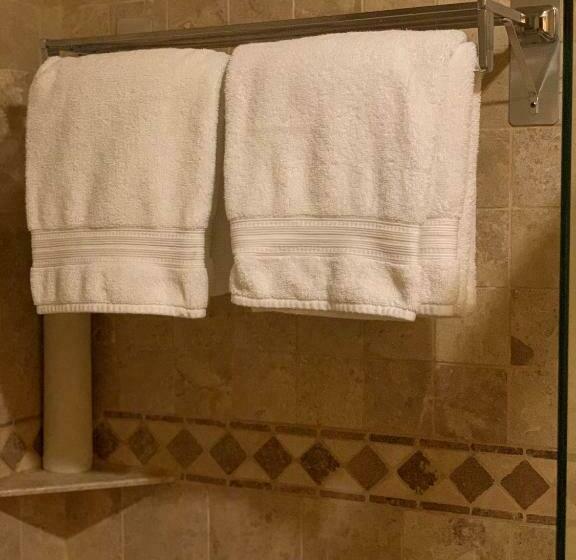 סוויטת דלוקס נוף לים, La Mision Loreto