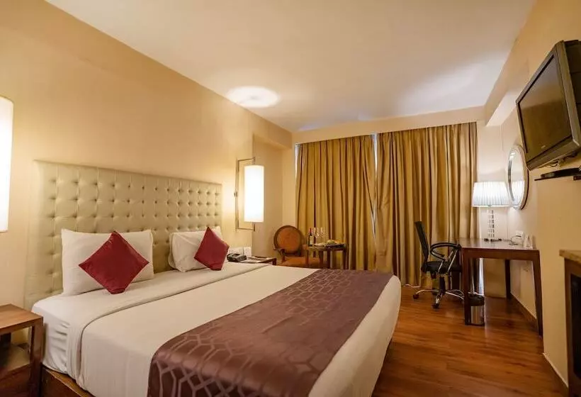 デラックスルーム, Royal Orchid Central Jaipur, Bani Park