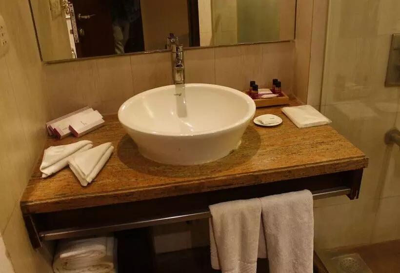 クラブルーム, Royal Orchid Central Jaipur, Bani Park