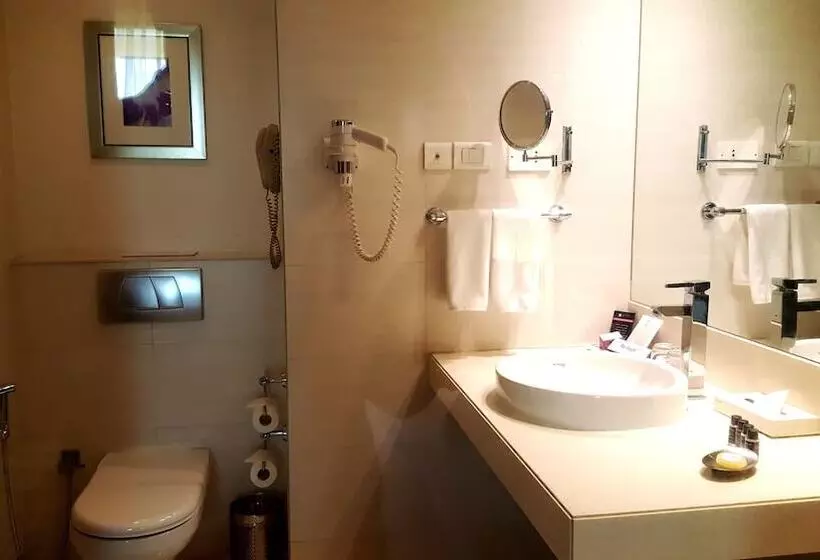 デラックスルーム, Royal Orchid Central Pune