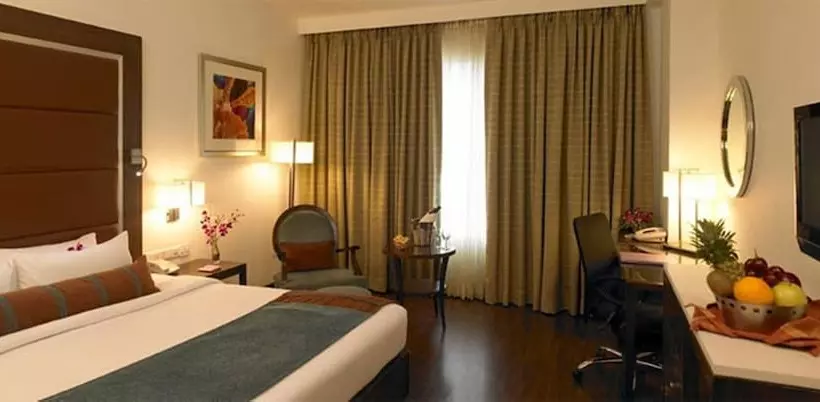 デラックスルーム, Royal Orchid Central Pune