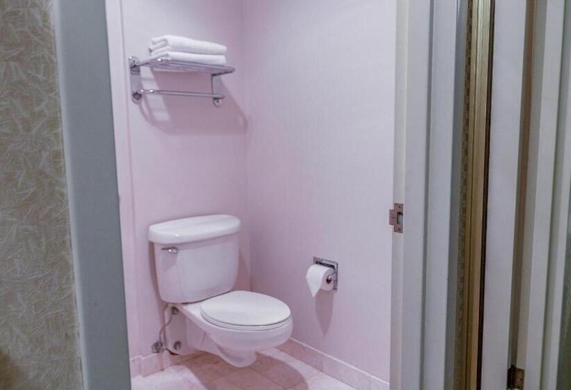 适合残疾人使用的标准间, Samesun San Francisco