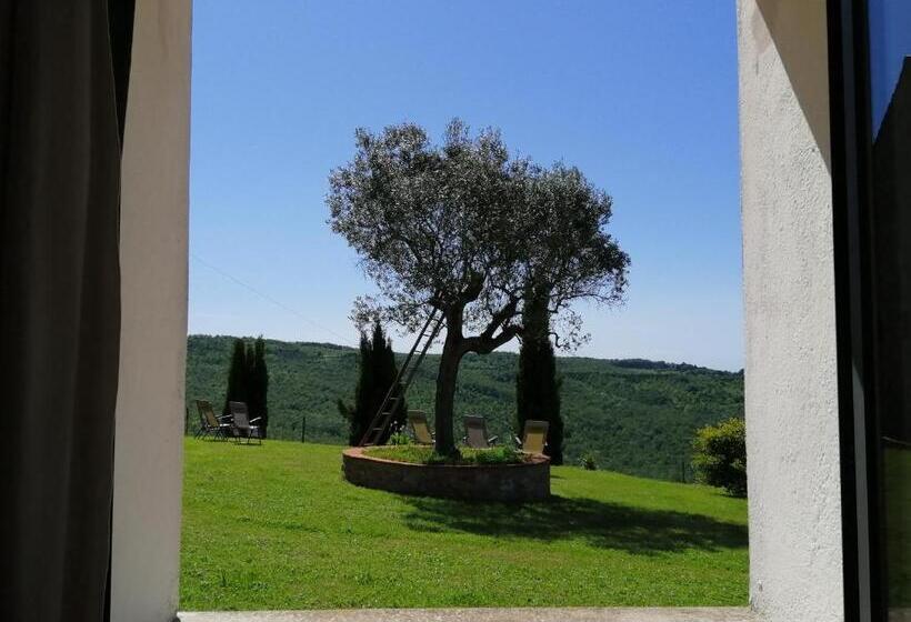 Апартаменты 1 Спальня Нижний Этаж, Agriturismo E Maneggio Poggio Leone