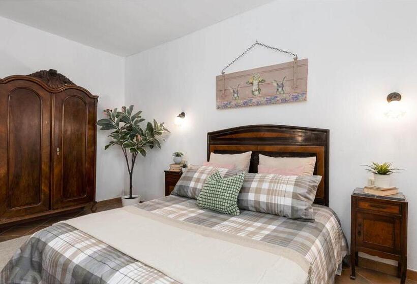 Апартаменты 1 Спальня Нижний Этаж, Agriturismo E Maneggio Poggio Leone