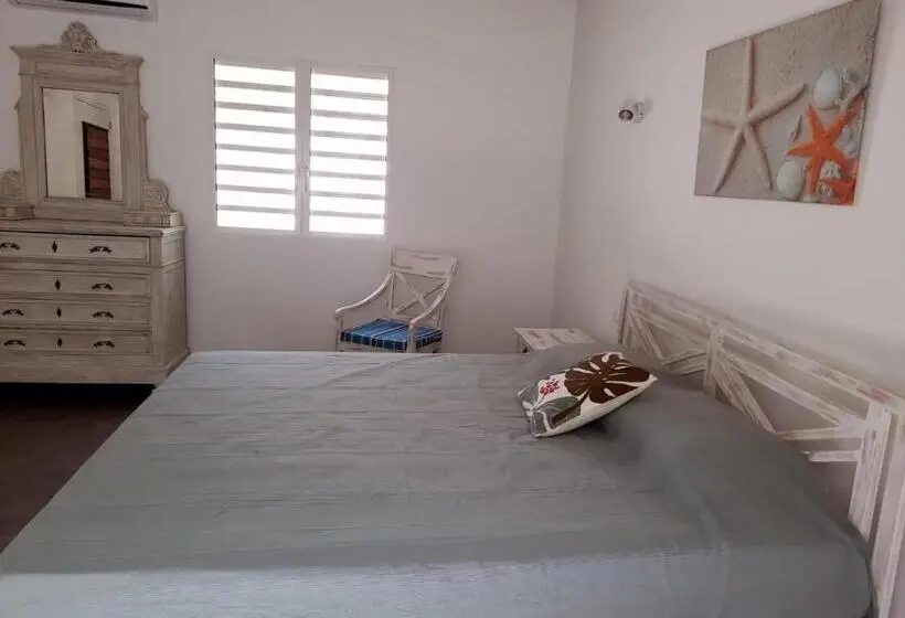 اتاق استاندارد با تخت بزرگ, Tiko Lodge Sxm