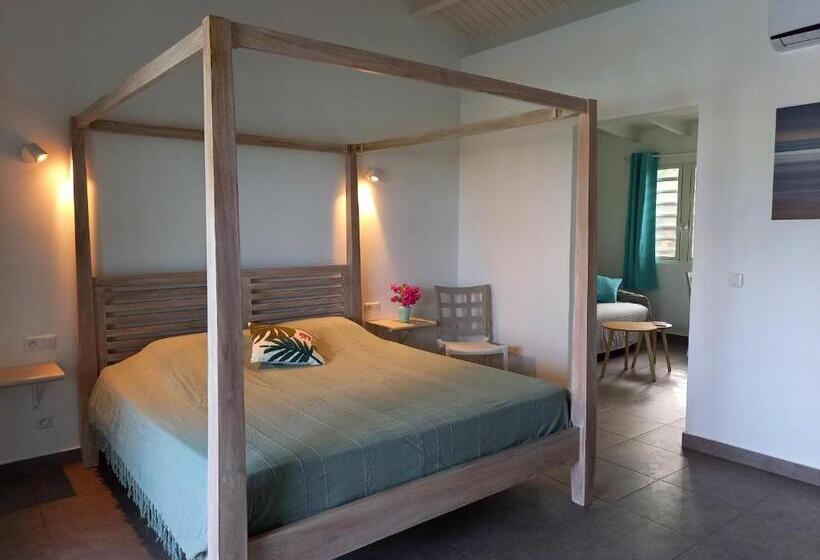 آپارتمان 1 خوابه با چشمانداز استخر, Tiko Lodge Sxm