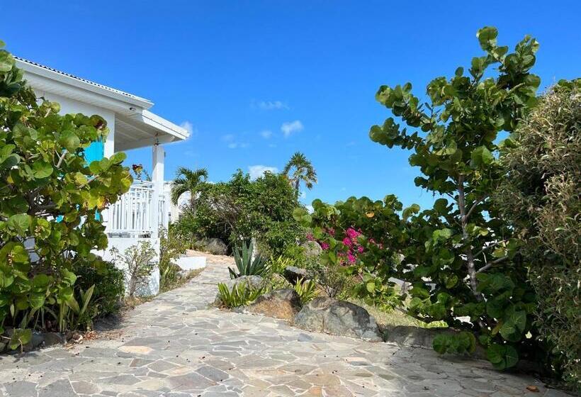 اتاق استاندارد با چشمانداز دریا, Tiko Lodge Sxm