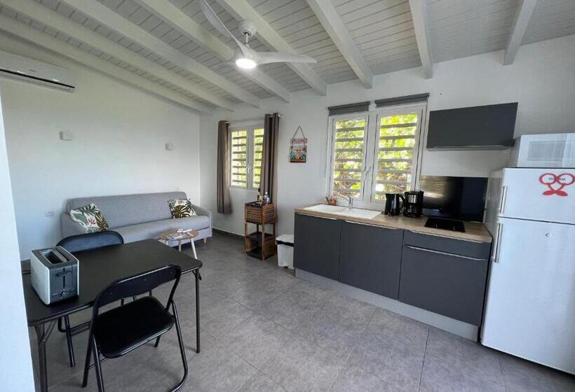 آپارتمان 1 خوابه با چشم‌انداز دریا, Tiko Lodge Sxm