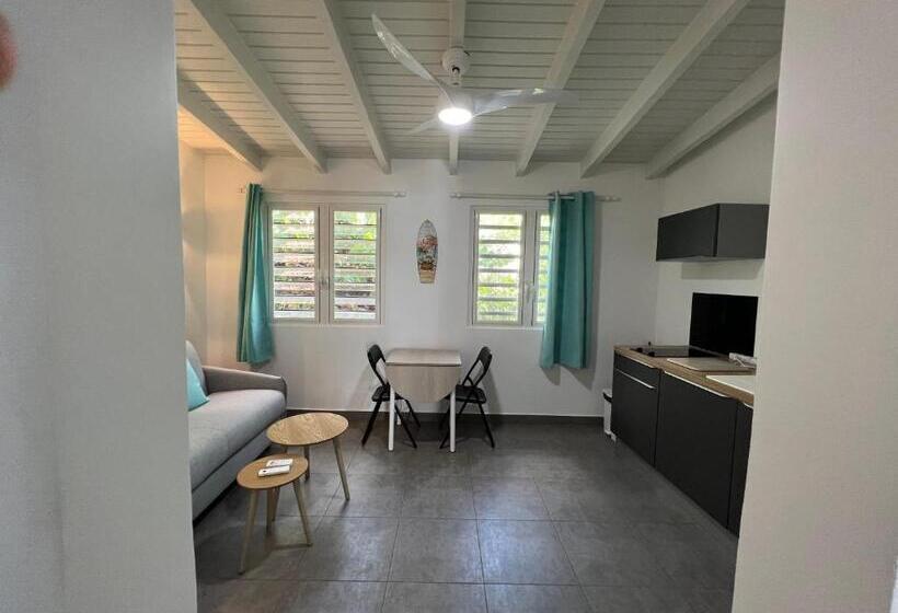 آپارتمان 1 خوابه با چشم‌انداز استخر, Tiko Lodge Sxm