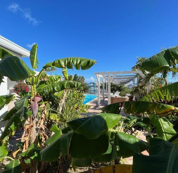 اتاق استاندارد با چشمانداز دریا, Tiko Lodge Sxm