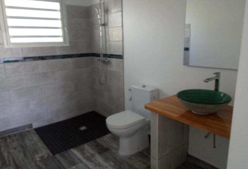 اتاق استاندارد با تخت بزرگ, Tiko Lodge Sxm