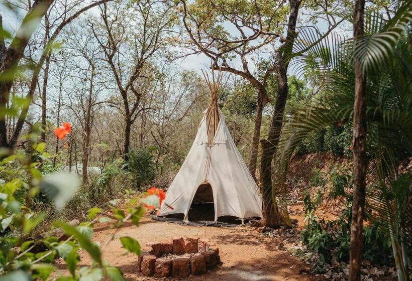 スタンダードルーム, Mojigao   Eco Resort