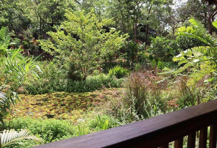 スタンダードルーム, Mojigao   Eco Resort