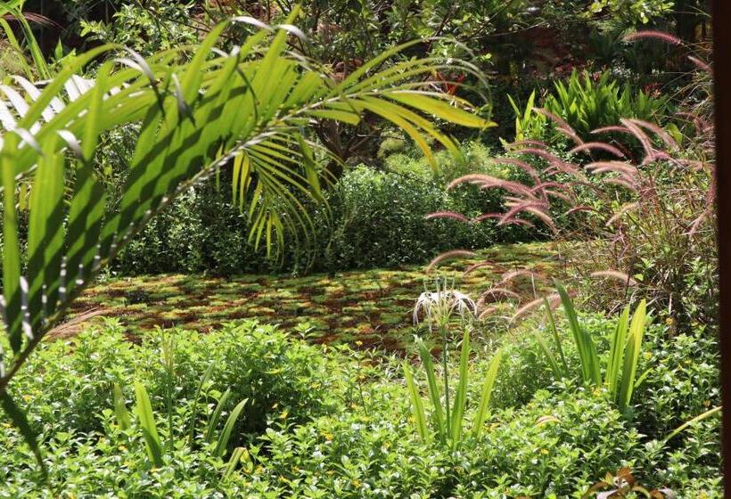 スタンダードルーム, Mojigao   Eco Resort