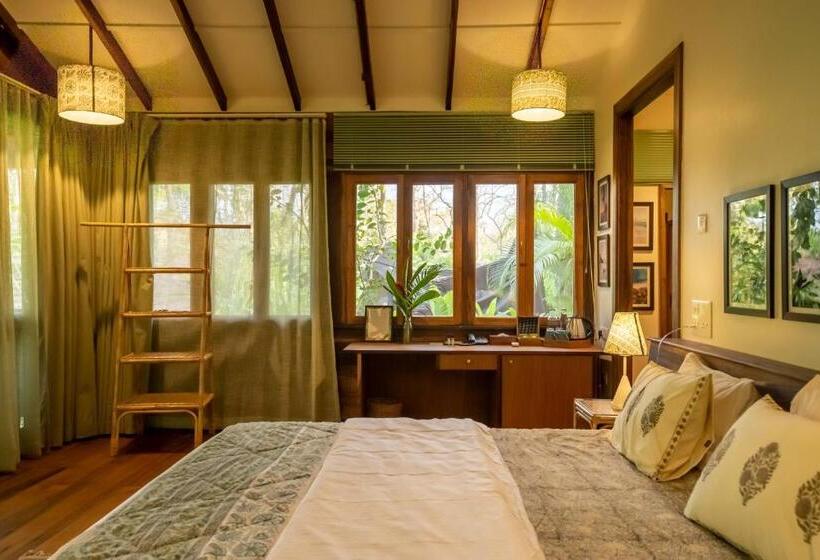 اتاق استاندارد با تخت بزرگ, Mojigao   Eco Resort