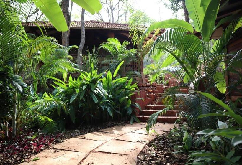 带大床的标准间, Mojigao Eco Resort