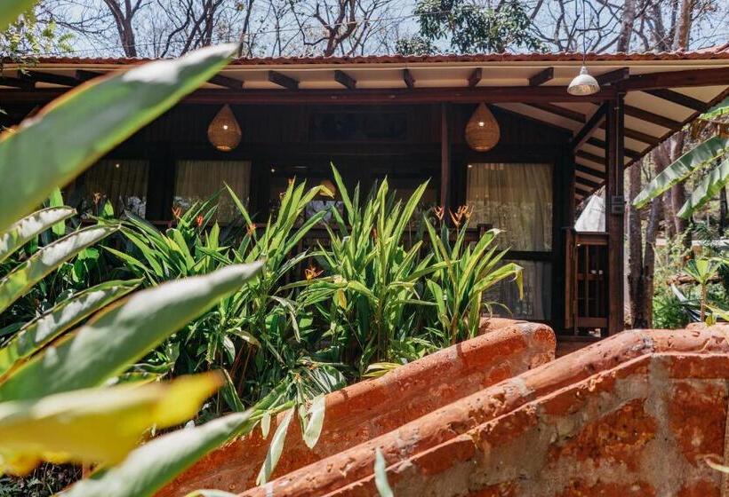 キングサイズベッドのスタンダードルーム, Mojigao   Eco Resort