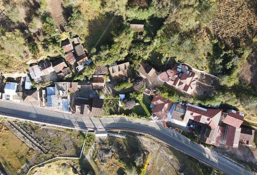 اتاق لوکس, Hostal Mamá Hilda