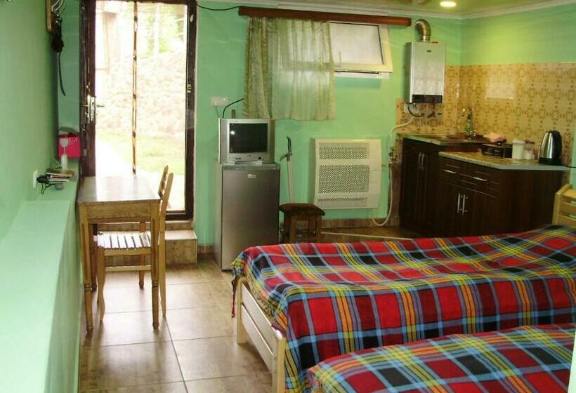 اتاق اکونومی, Apartment On Erekle 25a