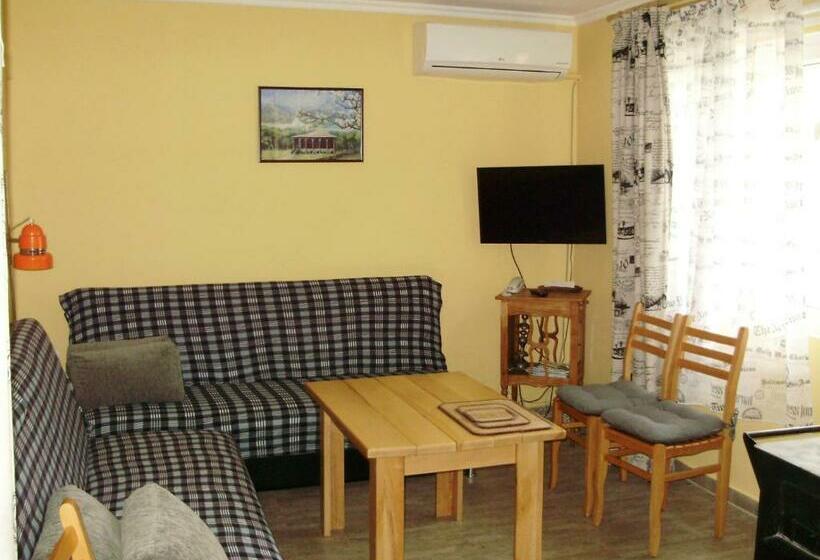 سوییت, Apartment On Erekle 25a