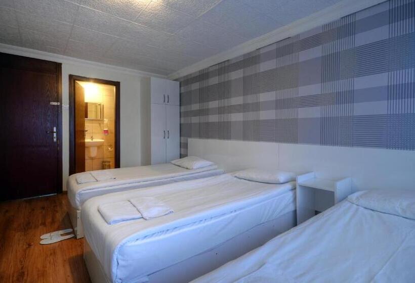 اتاق استاندارد سه نفره, Abro Necatibey