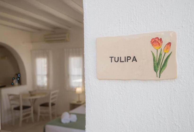 带海景的标准工作室, Anthos Apartments