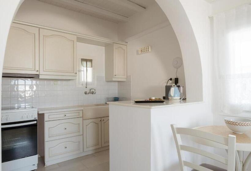 带海景的标准工作室, Anthos Apartments