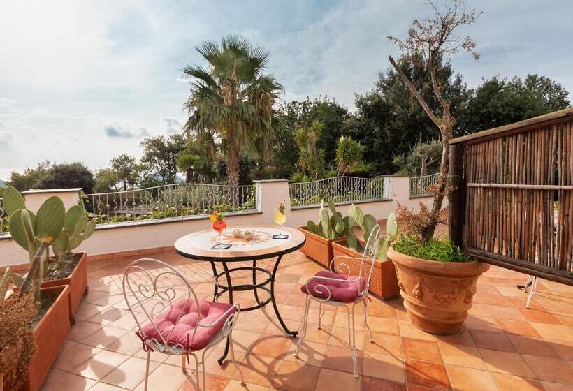 标准间, Belvedere